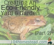 Creating an Eco-Friendly Yard & Garden {Part 2}