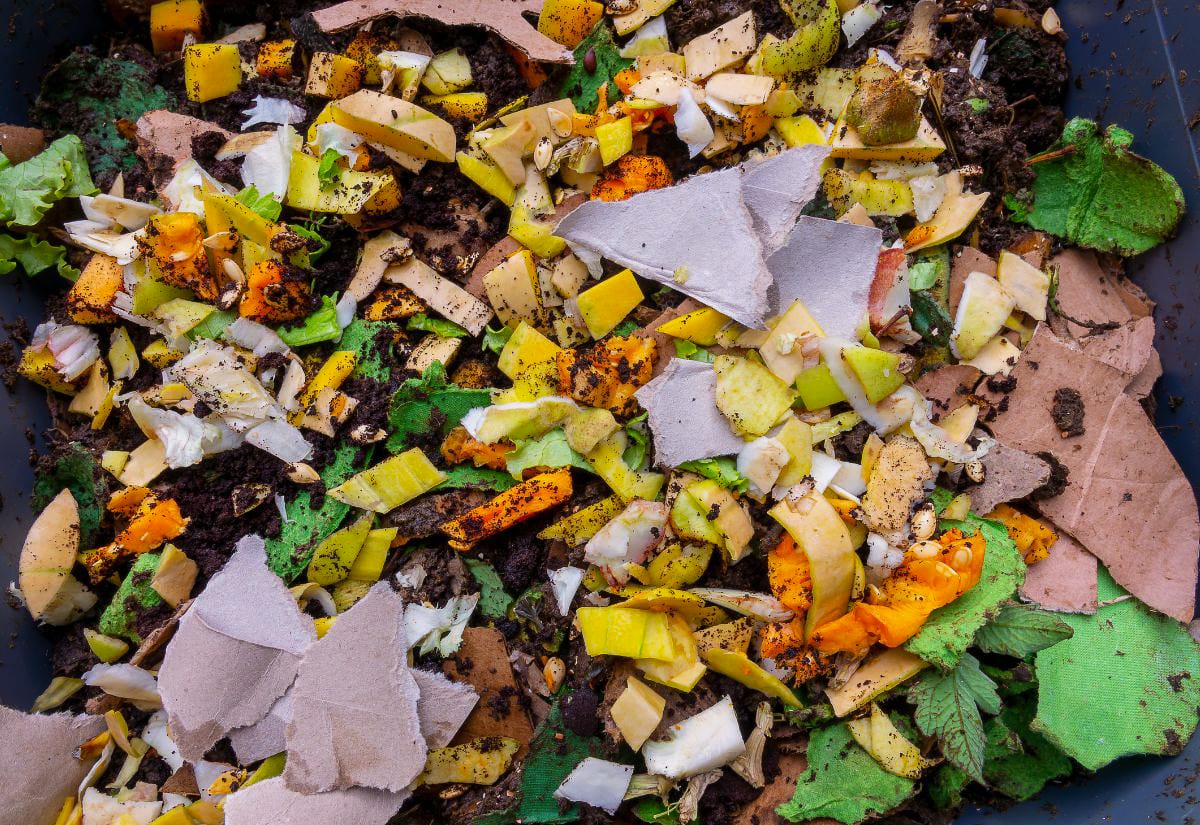 Overhead view of a worm bin filled with food scraps, leafy greens, citrus peels, cardboard, and other organic material ready for vermicomposting.