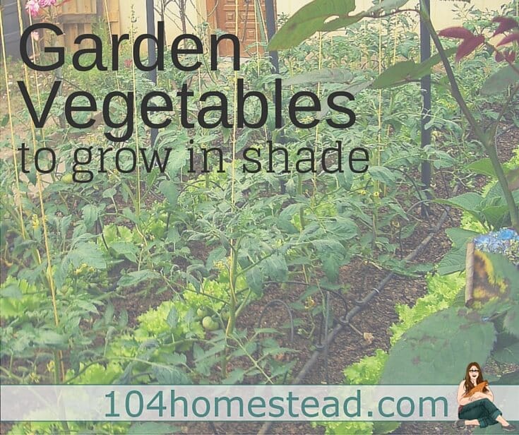 Garden Vegetables to Grow in the Shade