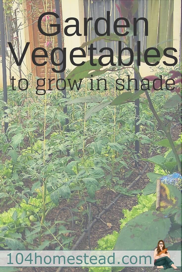 Not everyone has a full open area to grow their produce, but there are actually a lot of garden vegetables to grow in your shaded areas. Here are just a few.