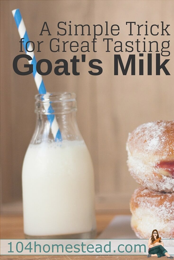 Goat's milk gets a bad rap. I've heard people describe goat's milk as “goaty” or just plain gross. But when handled properly, it isn't that way at all!