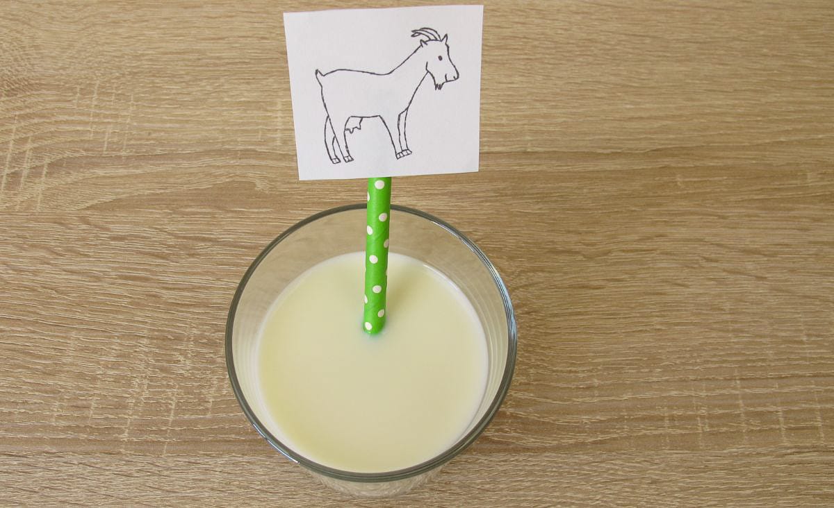 A glass of fresh goat milk on a wooden table with a green polka-dotted straw holding a hand-drawn sign of a goat, representing homemade or small-scale dairy. The photo emphasizes clean, creamy milk and a rustic homestead feel.