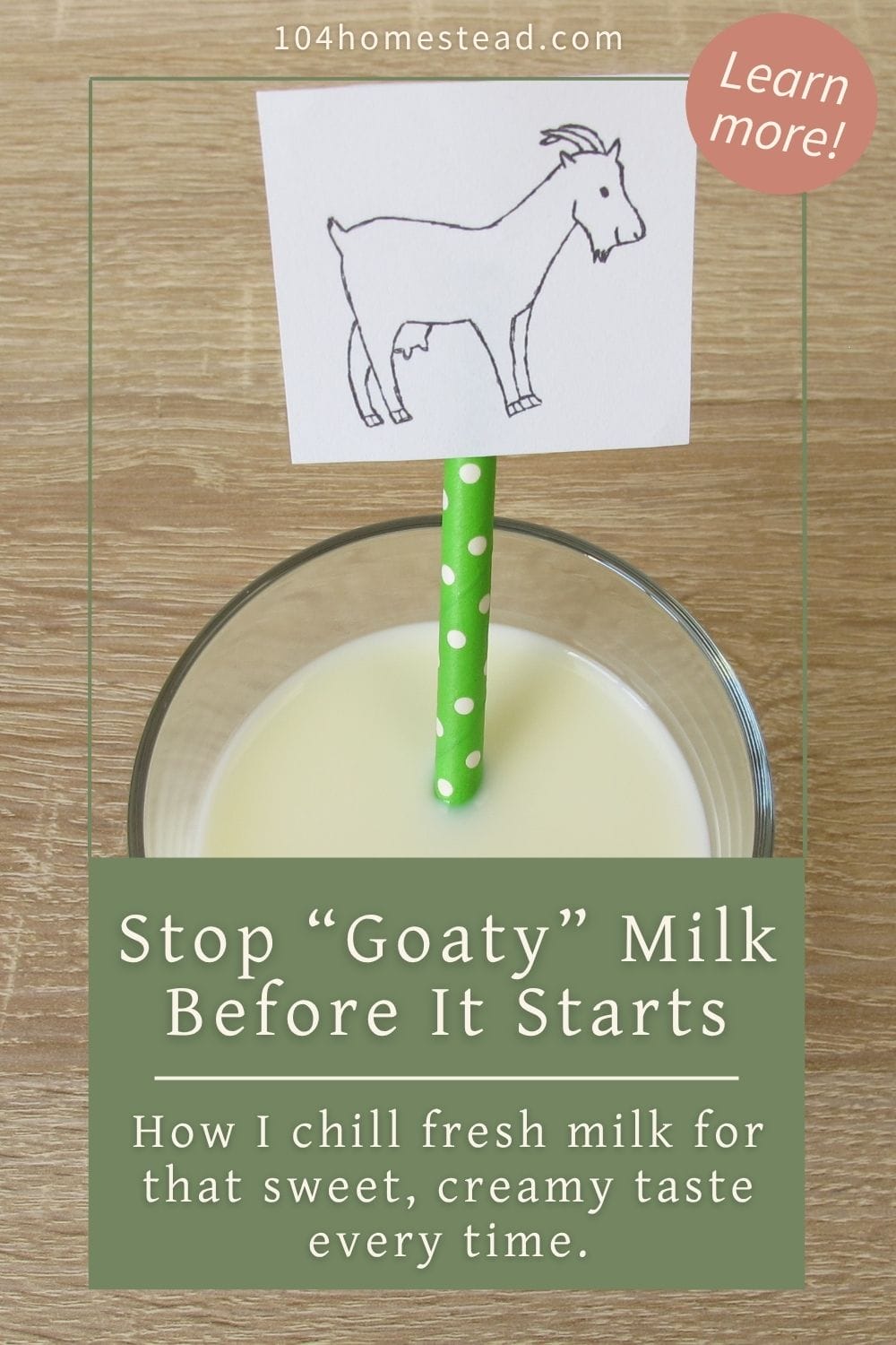 A Pinterest graphic showing a glass of goat milk with a green polka-dotted straw and a hand-drawn goat illustration. Text overlay reads “Stop ‘Goaty’ Milk Before It Starts – How I chill fresh milk for that sweet, creamy taste every time.”