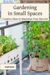 A balcony garden with vertical planters and raised containers growing kale, lettuce, and herbs.