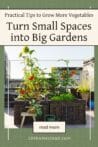 An urban rooftop garden with raised beds growing peppers, tomatoes, and lettuce in a compact space.