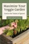 A hand pulling a fresh carrot from a raised wooden garden bed, showcasing successful small-space gardening.