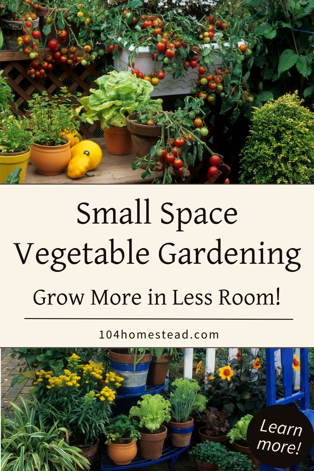 A container garden featuring marigolds, tomatoes, lettuce, and herbs on a colorful patio.