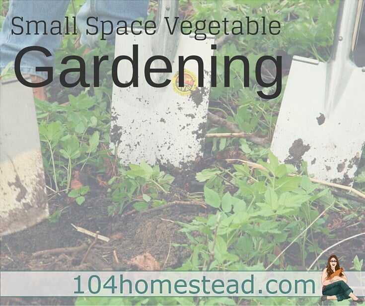 Discover ways to vegetable garden in a small space. With a little creativity and ingenuity, you can provide food for your family even in the smallest of small spaces.
