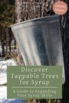 Close-up of a sap bucket attached to tree bark, highlighting lesser-known tappable trees for syrup production.