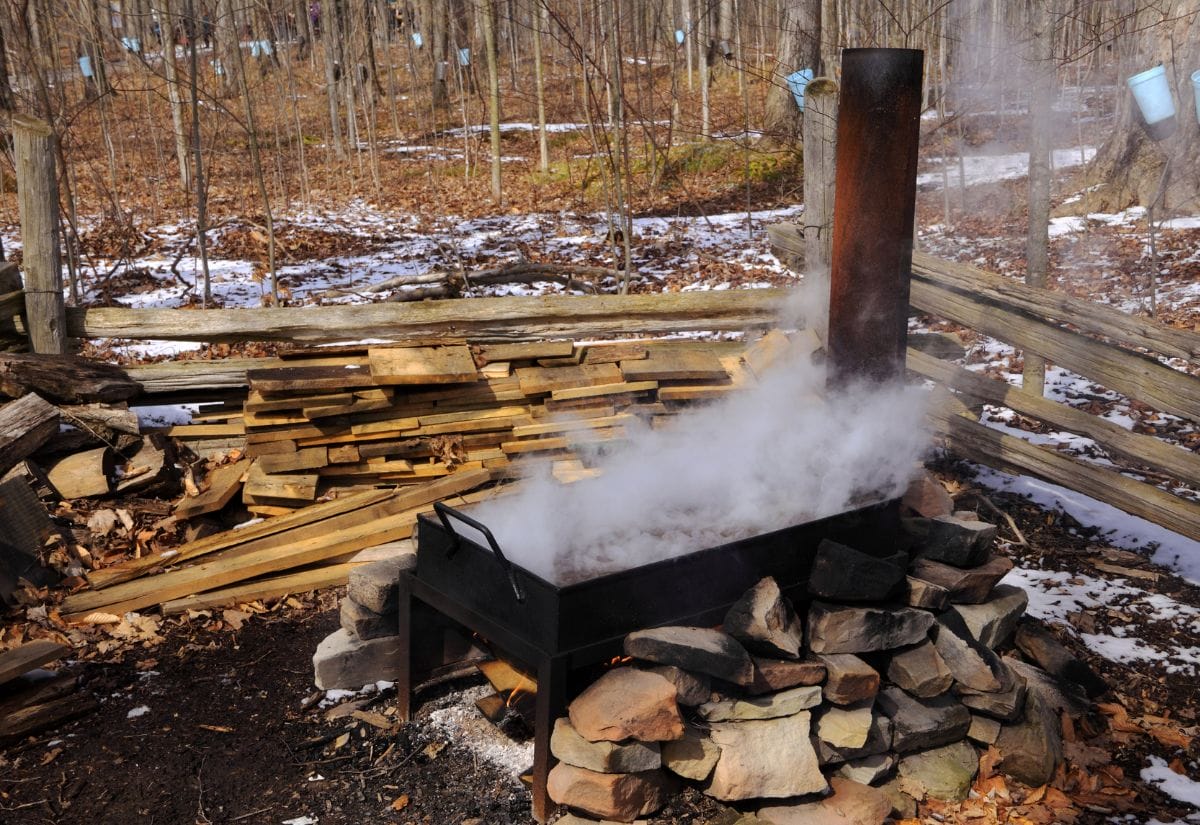 Outdoor evaporator boiling sap to make syrup, surrounded by wood and snowy forest scenery.