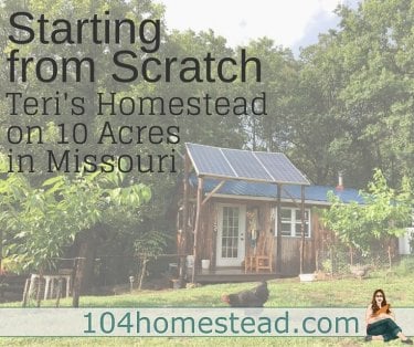 Teri lives on 10 acres in Missouri with her family of four. She is the writer of Homestead Honey and today she is sharing her homesteading journey with us.