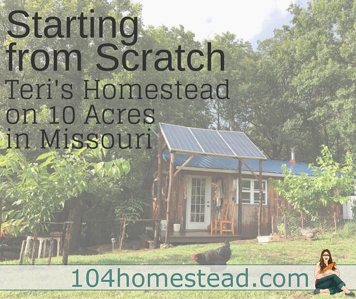 Starting from Scratch: Teri’s Homesteading Journey