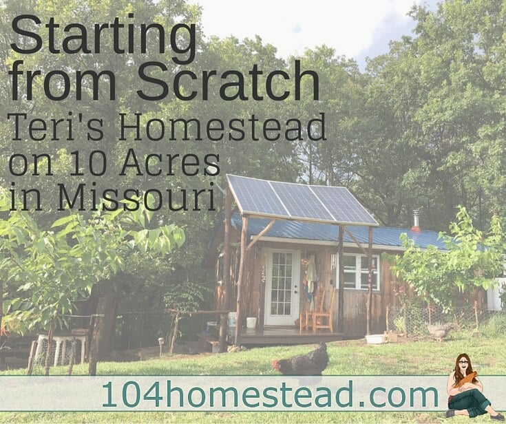 Starting from Scratch: Teri's Homesteading Journey