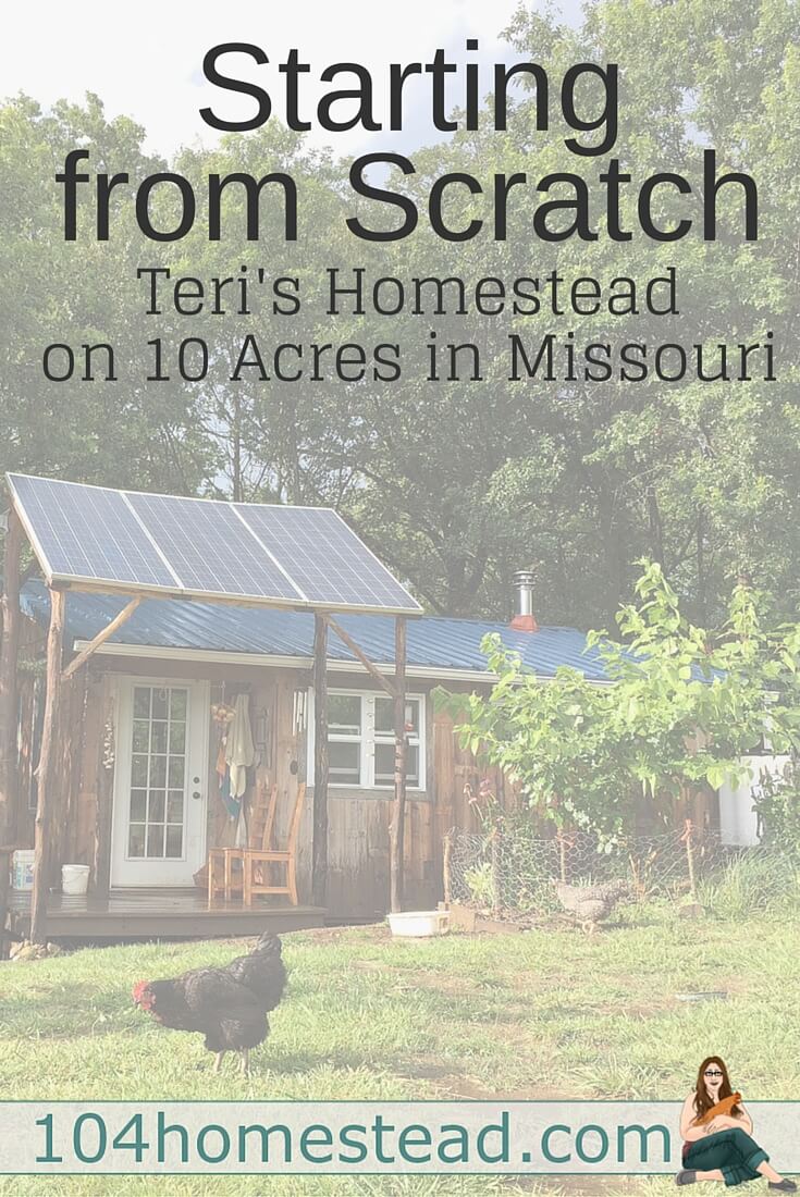 Teri lives on 10 acres in Missouri with her family of four. She is the writer of Homestead Honey and today she is sharing her homesteading journey with us.