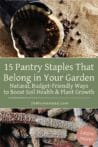 Used coffee grounds in a filter beside a pile of dry corncobs—both great additions to the garden.