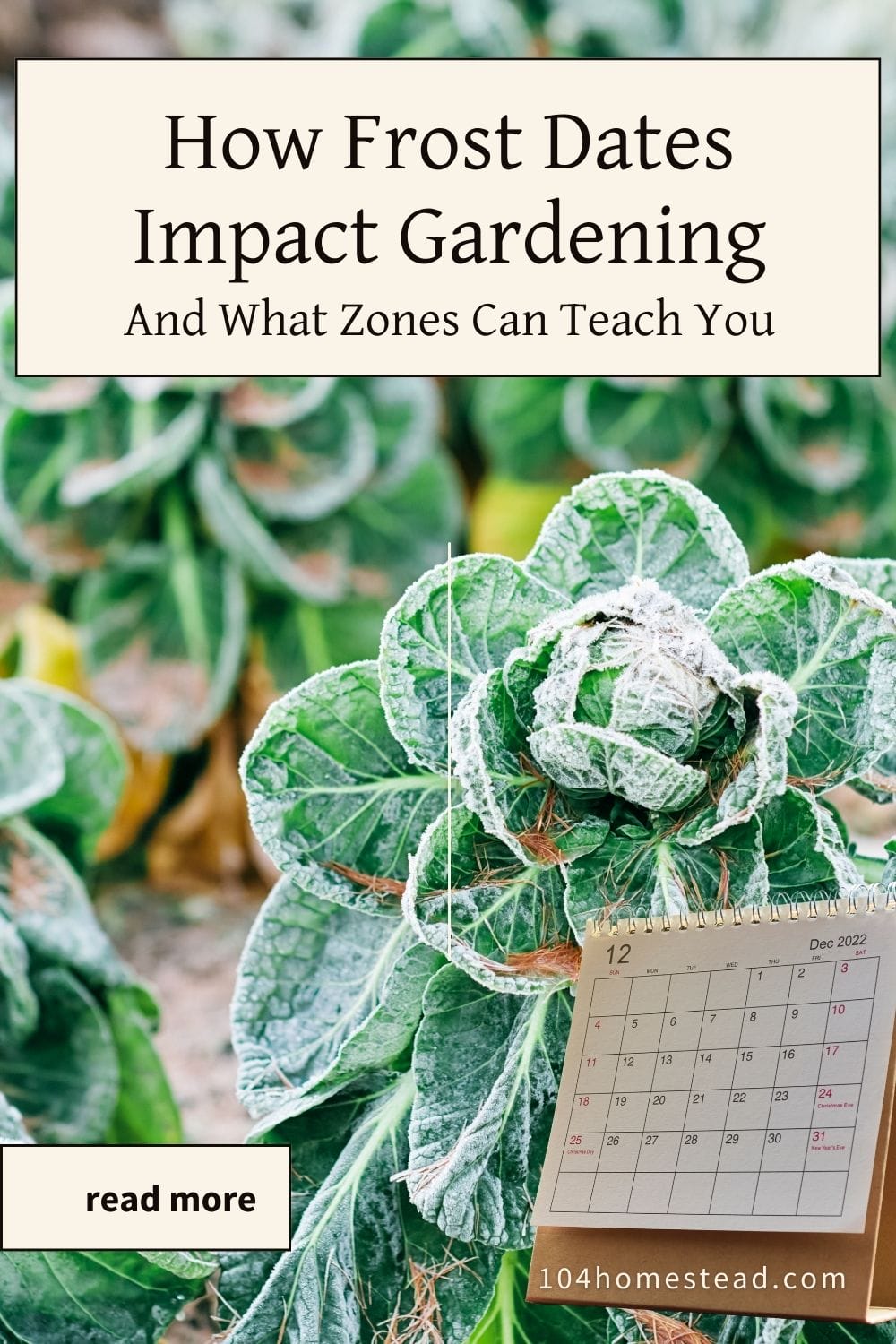 A close-up of frost-covered leafy greens with a calendar in the corner, illustrating the importance of frost dates for gardening success.