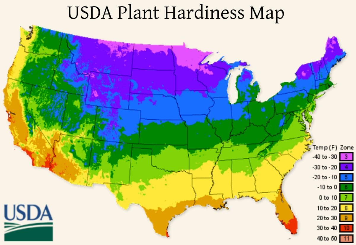 A colorful map of the United States showing USDA Plant Hardiness Zones based on average minimum temperatures.