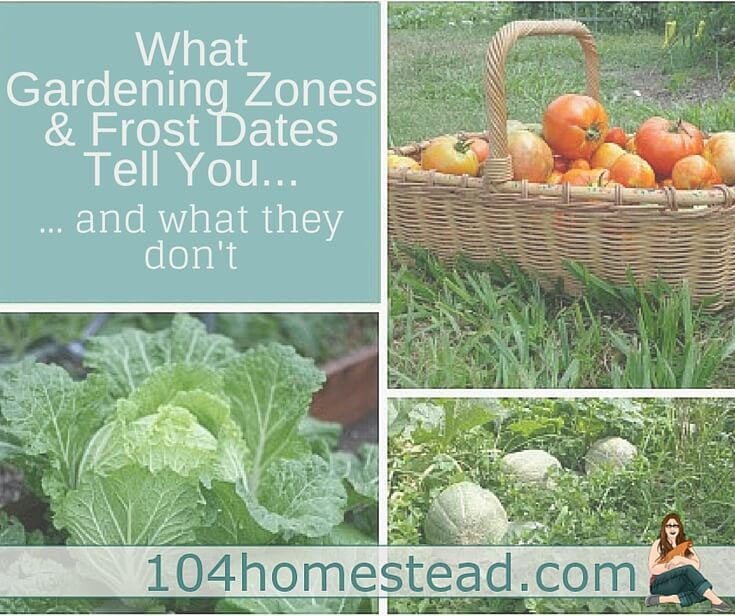 What Gardening Zones & Frost Dates Tell You