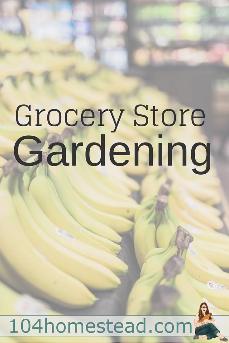 Learn neat tricks to improve your garden with items found at the grocery store. Grocery gardening is an inexpensive way to transform your garden.