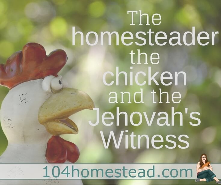 The homesteader, the chicken, and the Jehovah's Witness. A funny homesteading story, because you can't make this stuff up.