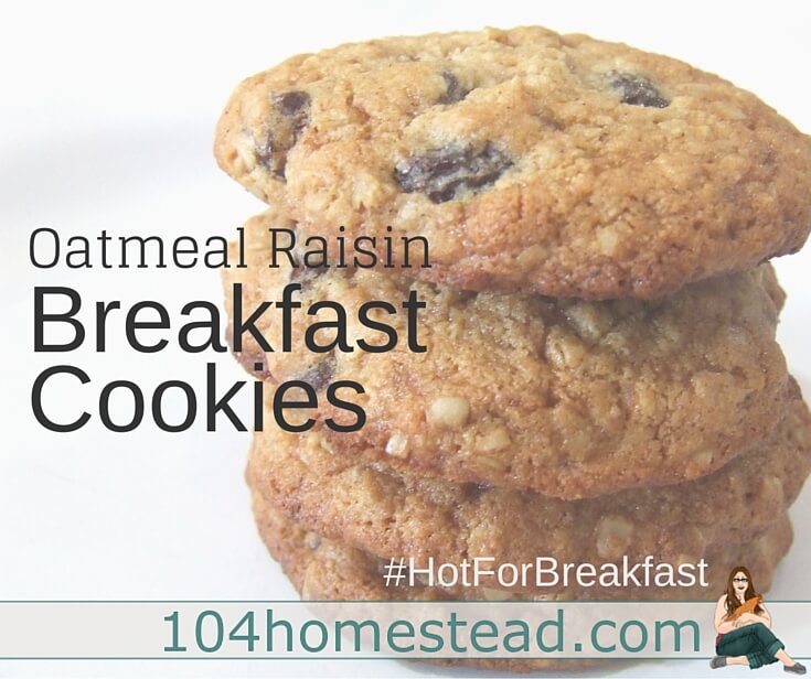 Oatmeal Raisin Breakfast Cookies