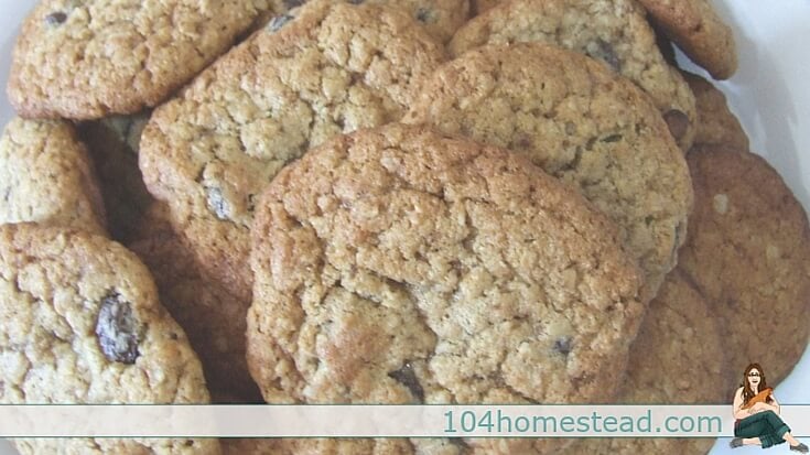 Breakfast cookies are, of course, always a big hit with kids. With applesauce and flax seed, the kiddos have no clue that what they're chowing down on is H-E-A-L-T-H-Y.