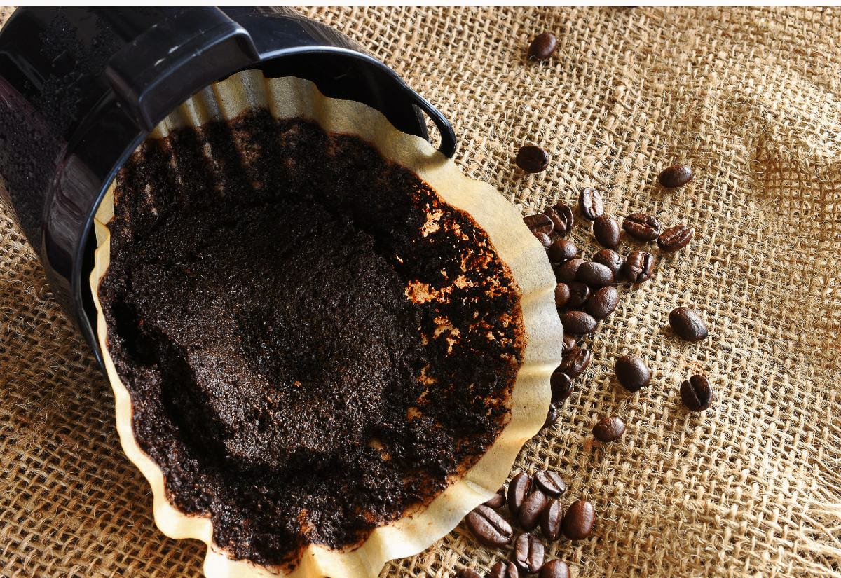 Used coffee grounds and filter spilling out of a coffee maker basket on burlap fabric, with whole coffee beans nearby.