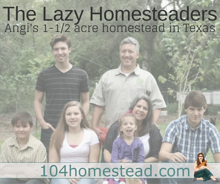 The Lazy Homesteaders: Angi’s Story