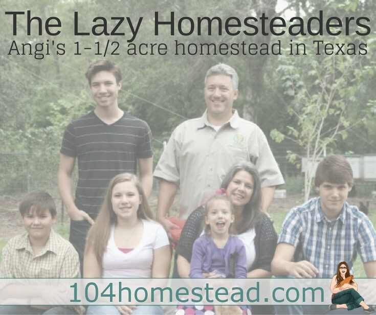 Angi refers to herself and her family as lazy homesteaders. And that is okay. Homesteading doesn't have to be all or nothing.