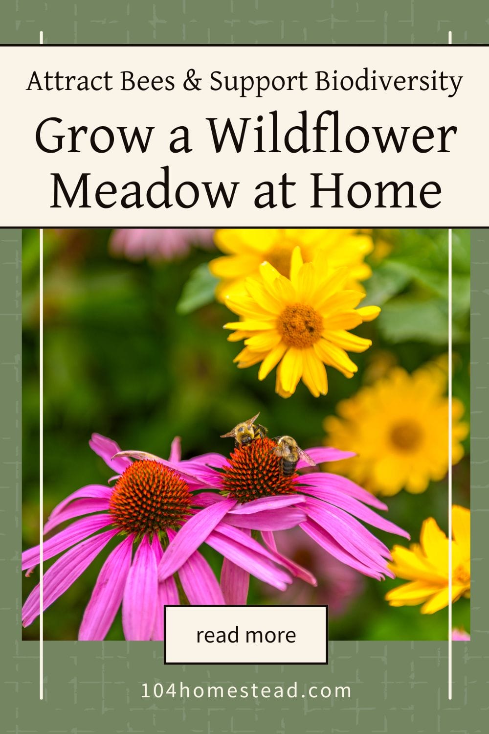 Bees pollinating pink coneflowers surrounded by bright yellow flowers in a lush wildflower garden.