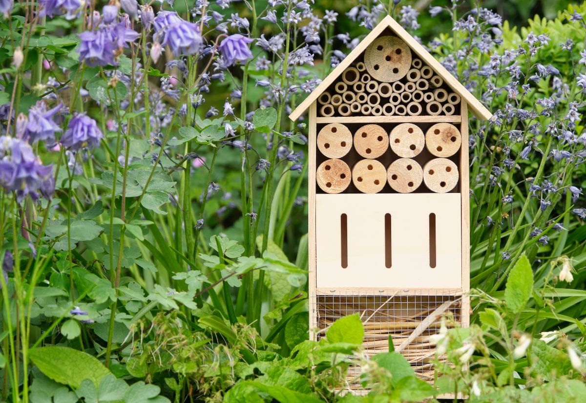 A wooden insect hotel placed among blooming purple wildflowers in a lush garden, designed to support native pollinators like solitary bees.