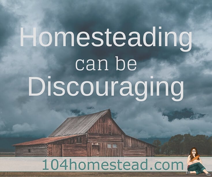An honest conversation about the struggles and discouragement of learning to homestead. It's not all rainbows and sunshine people!