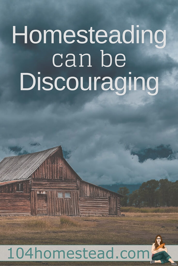 An honest conversation about the struggles and discouragement of learning to homestead. It's not all rainbows and sunshine people!