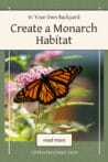 A monarch butterfly feeding on pink milkweed flowers, illustrating the ideal habitat for monarchs in a backyard garden.