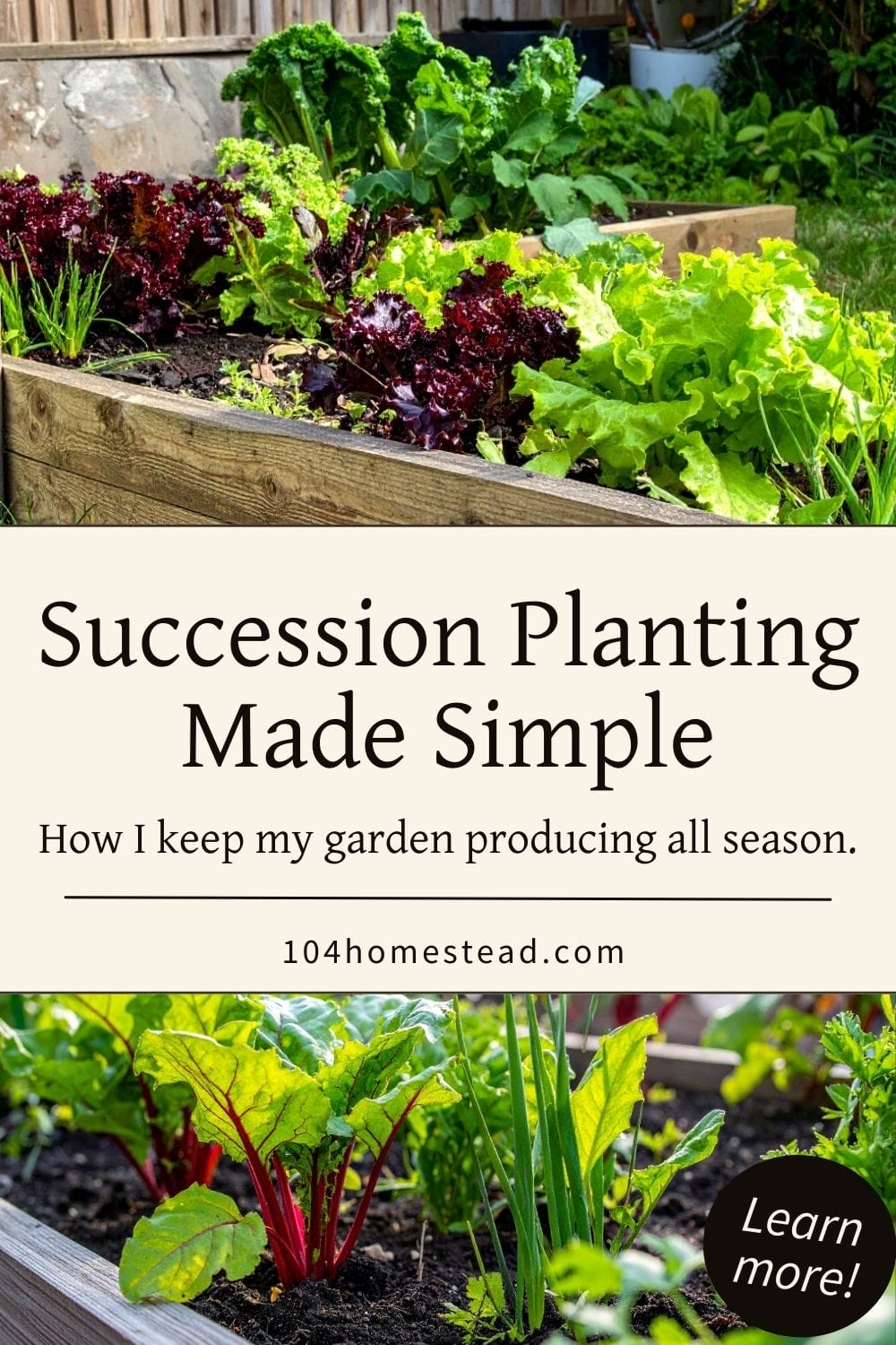 Pinterest graphic showing a raised bed vegetable garden with green and red leaf lettuce, kale, and other leafy greens growing in wooden beds, overlaid with the text “Succession Planting Made Simple – How I keep my garden producing all season.”