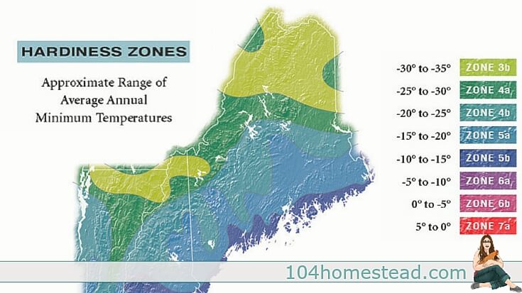 Succession planting is basically growing one crop after another. It's easy in warm climates, but even those of us up in Maine can do it.