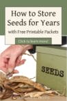 A hand selecting dried bean seeds from pods next to a green metal storage box labeled "SEEDS," highlighting the importance of organized seed saving.