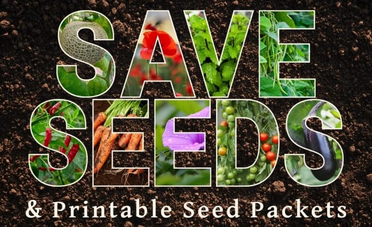 Bold text reading 'Save Seeds & Printable Seed Packets' with vibrant images of vegetables, herbs, and flowers inside the letters.