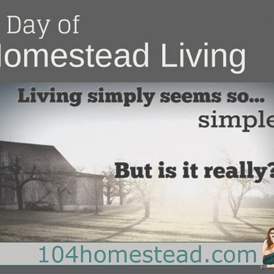 A Day of Homestead Living
