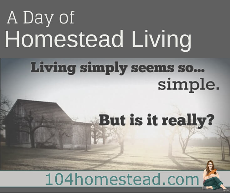 A Day of Homestead Living