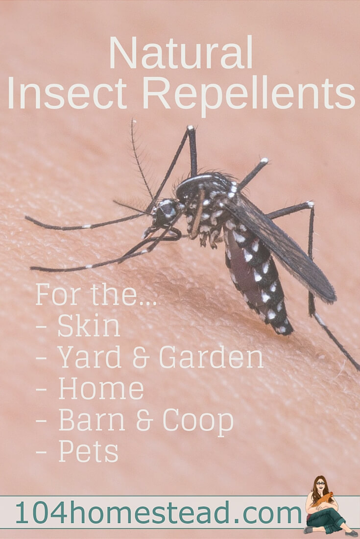 A list of natural repellents that work on a wide array of insects in a variety of situations. Also included are great natural "after bite" solutions.
