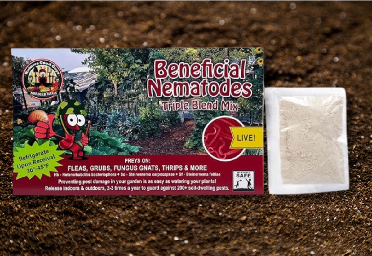 Package of beneficial nematodes with a labeled description, set against rich garden soil.