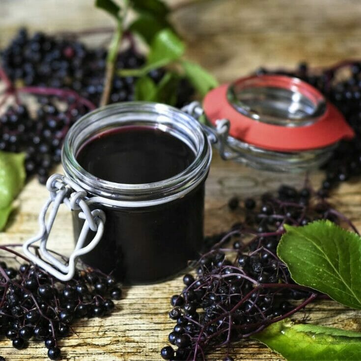 Elderberry Syrup A Delicious Guide To Making Your Own