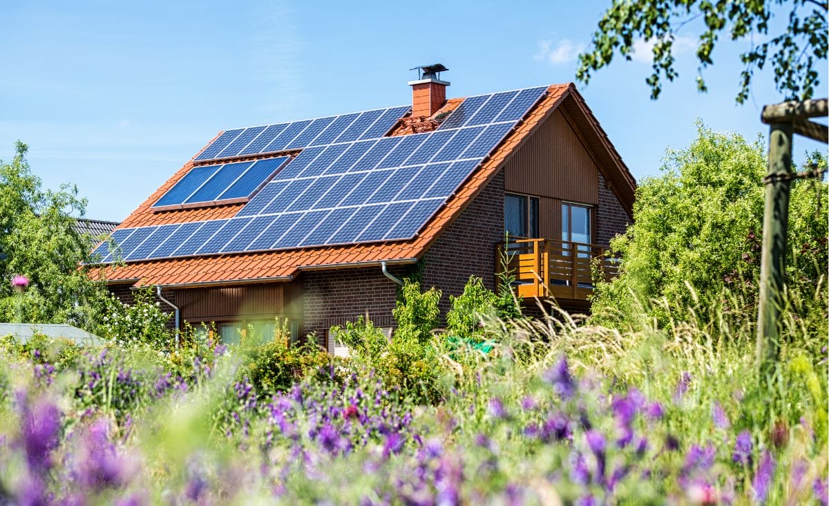 Solar panels installed on the roof of a homestead surrounded by vibrant greenery and wildflowers on a sunny day.