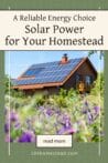 A homestead house with solar panels on a red roof surrounded by a field of blooming purple flowers. Text overlay: Solar Power for Your Homestead - A Reliable Energy Choice.