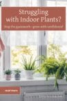 Several healthy houseplants on a sunny windowsill with sheer curtains, styled with a terra cotta-colored title overlay that reads “Struggling with Indoor Plants?” and a white watering can nearby.
