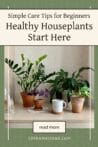 Indoor plants in terracotta pots styled on a tabletop with soft lighting, captioned with “Healthy Houseplants Start Here.”