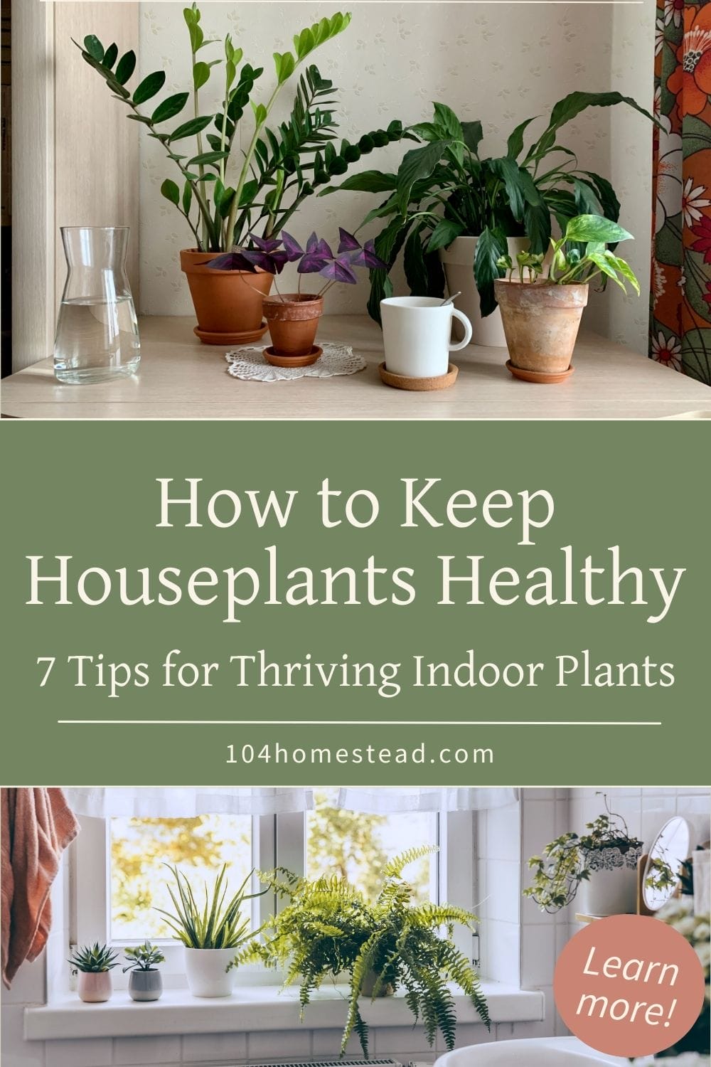 Two scenes showing thriving houseplants in pots on tables and windowsills, overlaid with text reading “How to Keep Houseplants Healthy.”
