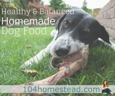 Do you want your pet dog to receive the right amount of nutrition he needs and save money at the same time? Why not try preparing a healthy homemade dog food?