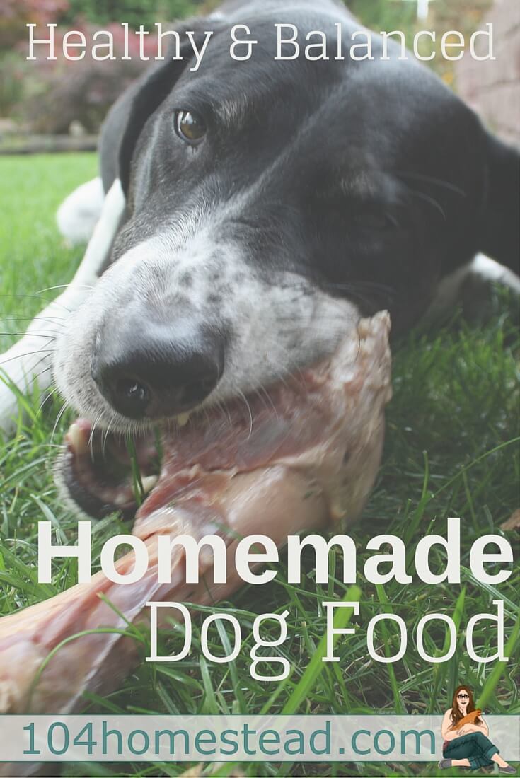 Do you want your pet dog to receive the right amount of nutrition he needs and save money at the same time? Why not try preparing a healthy homemade dog food?
